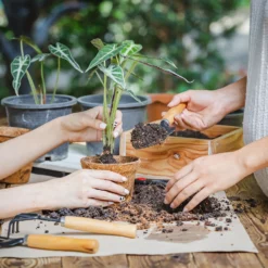 Coco & Coir Round Fibre Pot - 20cm 6 Coco & Coir Round Fibre Pot - 20cm -Garden Care Shop 13487130 4344931201157651