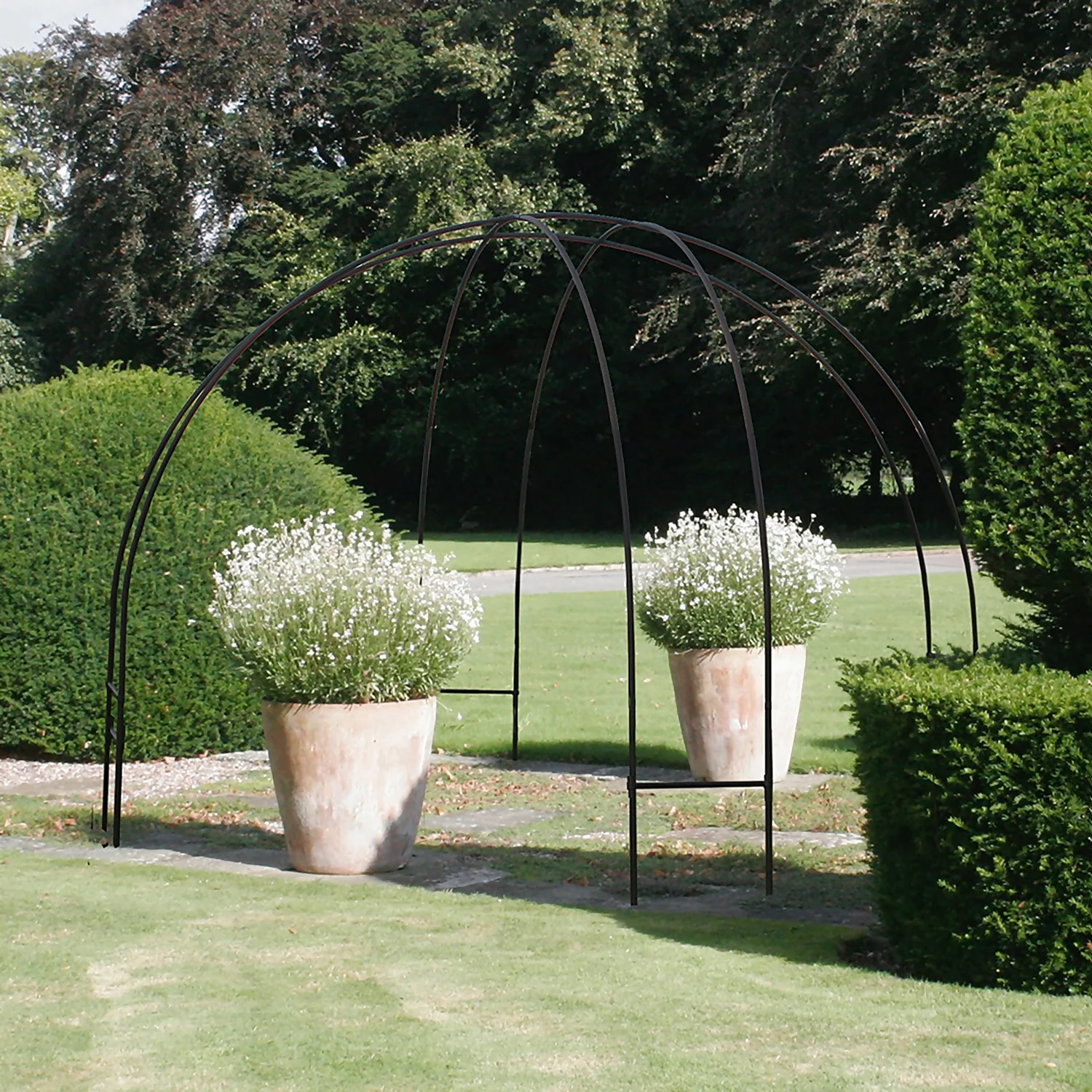 Agriframes Contemporary Black Garden Dome Plant Structure 2 Agriframes Contemporary Black Garden Dome Plant Structure - Image 2