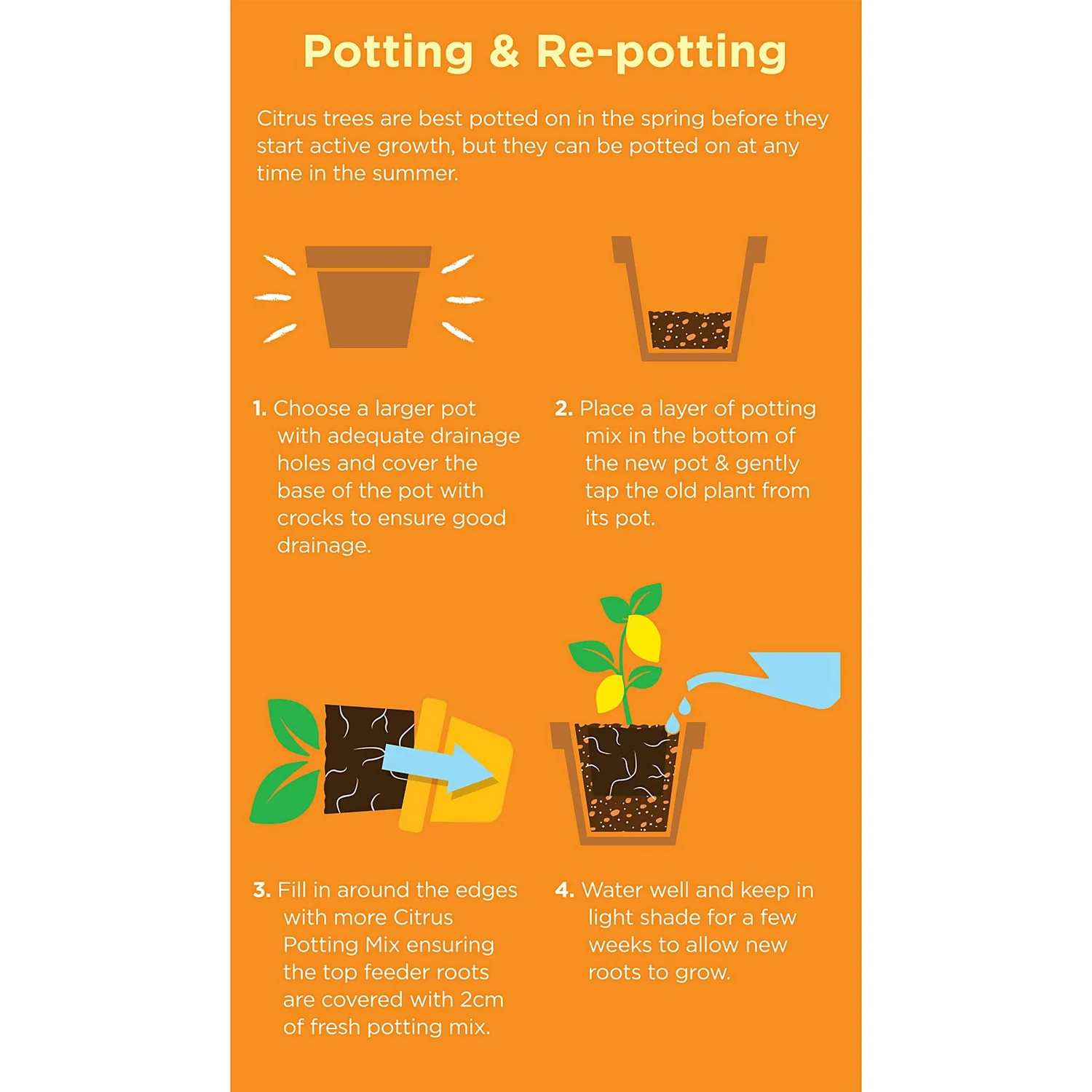 Westland Citrus Potting Mix Peat Free 8L 3 Westland Citrus Potting Mix Peat Free 8L - Image 3