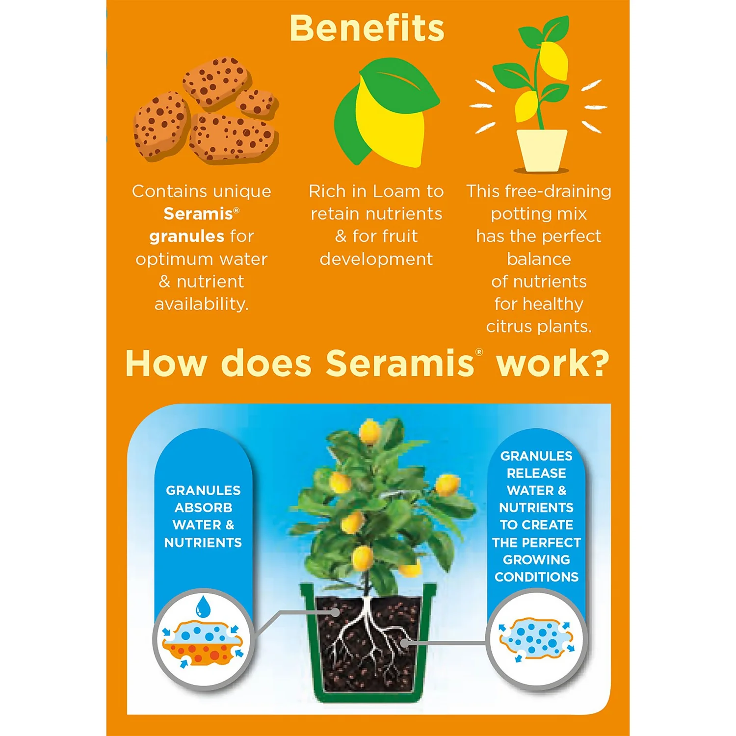 Westland Citrus Potting Mix Peat Free 8L 2 Westland Citrus Potting Mix Peat Free 8L - Image 2