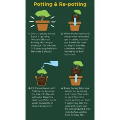 Westland Bonsai Potting Mix Peat Free 4L -Garden Care Shop 14013787 2185003754340767
