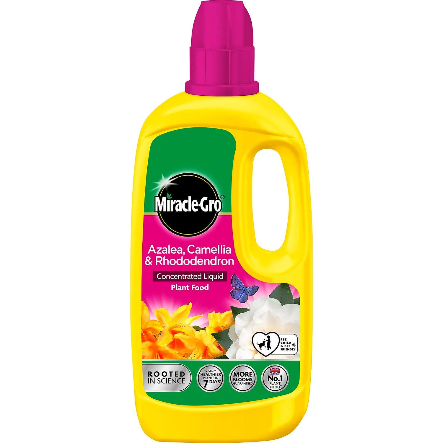 Miracle-Gro Azalea, Camellia & Rhododendron Concentrated Liquid Plant Food 800ml 1 Miracle-Gro Azalea, Camellia & Rhododendron Concentrated Liquid Plant Food 800ml