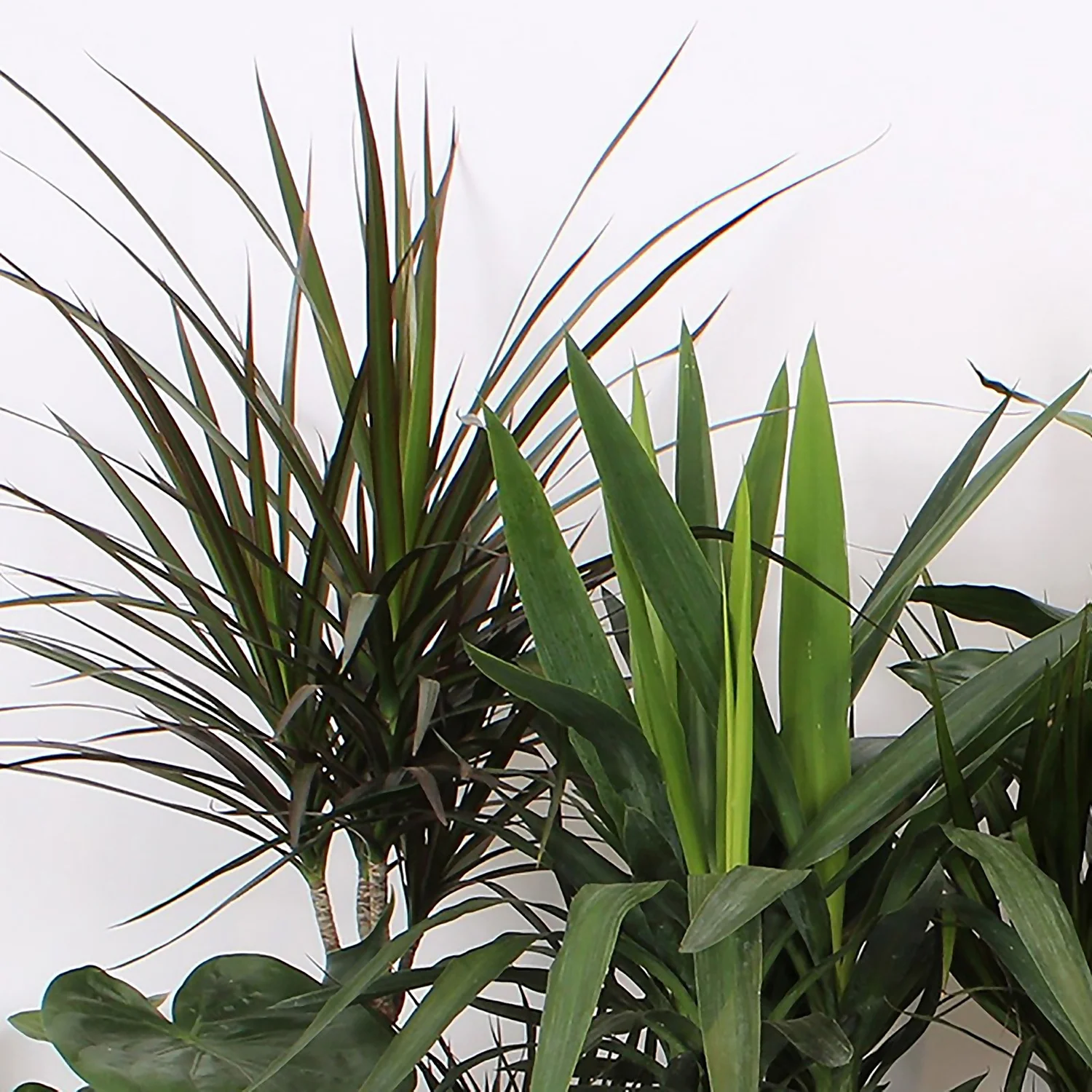 Foliage Mix 21cm 3 Foliage Mix 21cm - Image 3