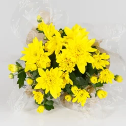 Gift Wrapped Chrysanthemum - 12cm -Garden Care Shop 14567809 1145056339573587